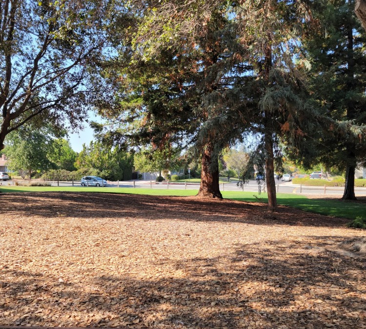 foothill-park-photo
